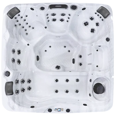 Avalon EC-867L hot tubs for sale in Los Angeles